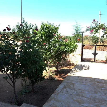 Guezey 3+1 Doga Ve Deniz Manzarali Apartment